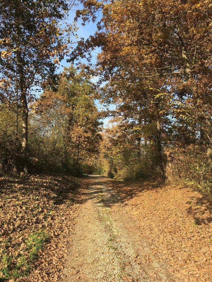 B&B Cascina Dei Levrieri Capriglio Eksteriør bilde